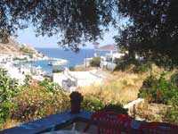view from the olive