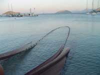 fishing